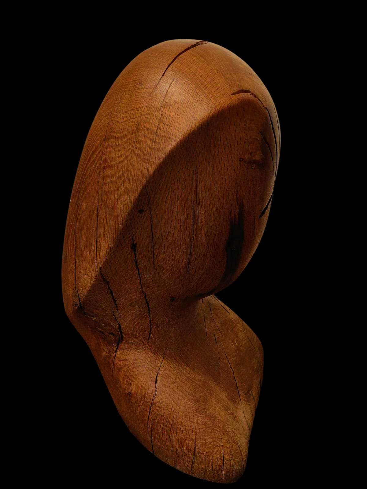constantin brancusi universæ analysis rayer