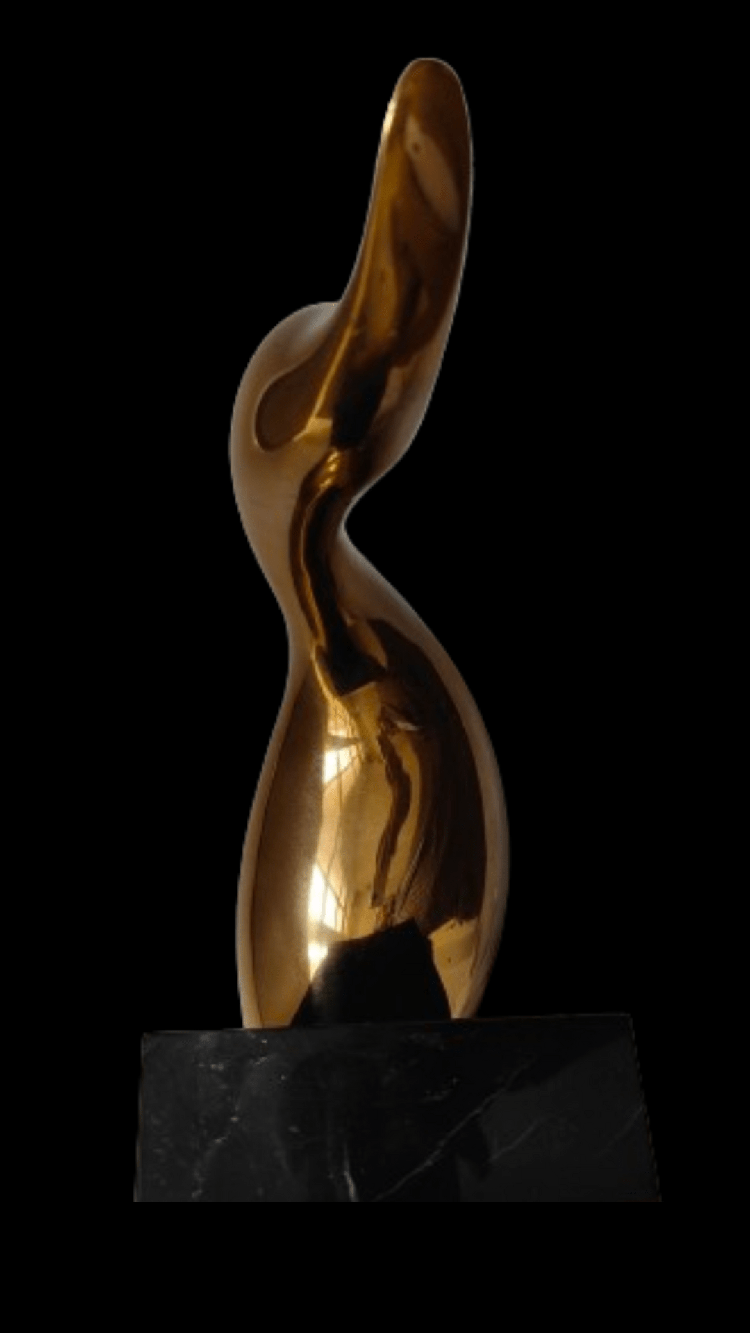 brancusi cercle d'études scientifiques pierre rayer -2