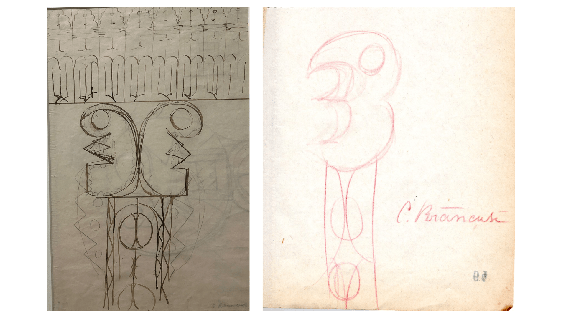 constantin brancusi universæ analysis